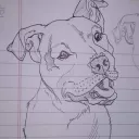 isaias_0631_07186 avatar