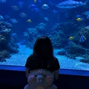 fissh8l7.5tan._