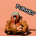 ttrturkey