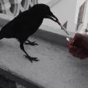 in0o0o