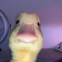 dontaskmewhy_121 avatar