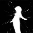 zwoxv2
