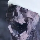 repalec
