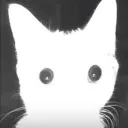 theriskrgaming