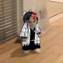 avatar 𝑨𝒅𝒓𝒂𝒌