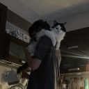 avatar 𝑨𝒅𝒓𝒂𝒌