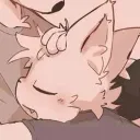 ropi314