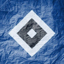 avatar Juli x HSV E-Sports