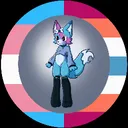 beowafuzzyc403
