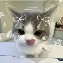 alina_7766
