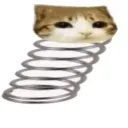 squishysqishy