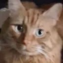 poopermn2