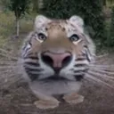 nooooow_