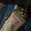 lokaop