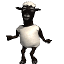 d4v111dddd