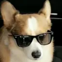 xanbino