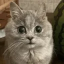m1kattyreeyt