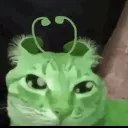 its.1204_72726 avatar