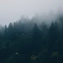 kvadrata