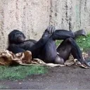 carlos21xd3033_ avatar