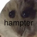 theprobot_41003 avatar