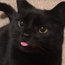 avatar ˢᵃᵐᵒᵒʳᵃ ♡