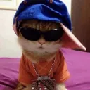 wiqty avatar