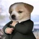 elperroelegante1_46779 avatar