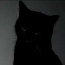 rzz__._