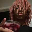 noahisontopfr