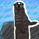 vaiskiainen