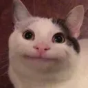 f3tt3