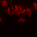 avatar †★ChrissyWakeUp★†