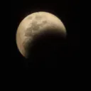 dwar_ta67_15983 avatar