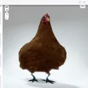 maximepr0