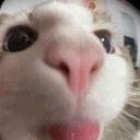 Discord