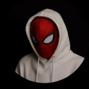 avatar spider man 🕸