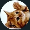 francisco02271 avatar