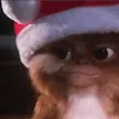 timatth