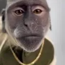 monkehs