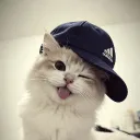 sryaaaaaaaaaaaaa