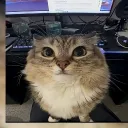 Аватар dania0995_44536