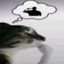 gitler_69._39186 avatar