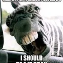weaponizedzebra