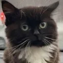 Аватар momslsl_069_