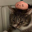 avatar SienestäjäMikki