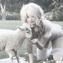 avatar a sweetheart really