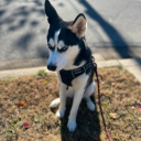 th3viousgameus_55019#0