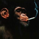 Gonzalez's avatar