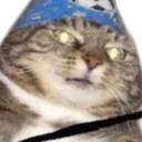 wetbreadleg